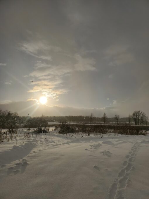 中沼の雪景色