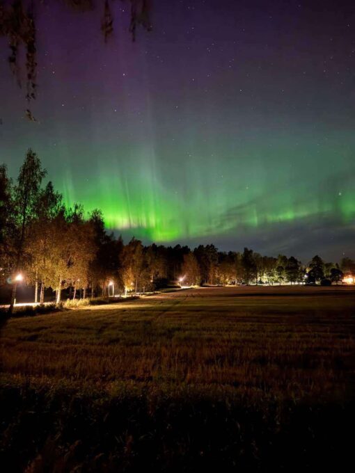 アアルト建築　フィンランド8日間住宅視察　【１】